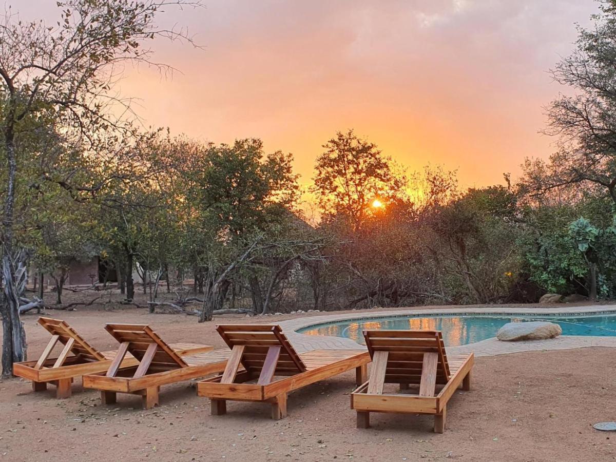 Masorini Bush Lodge & Safari Tents 帕拉博鲁瓦 外观 照片