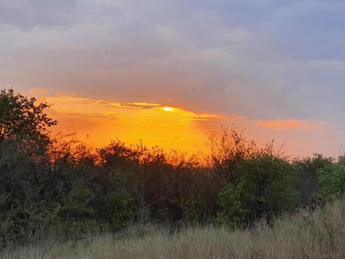 Masorini Bush Lodge & Safari Tents 帕拉博鲁瓦 外观 照片
