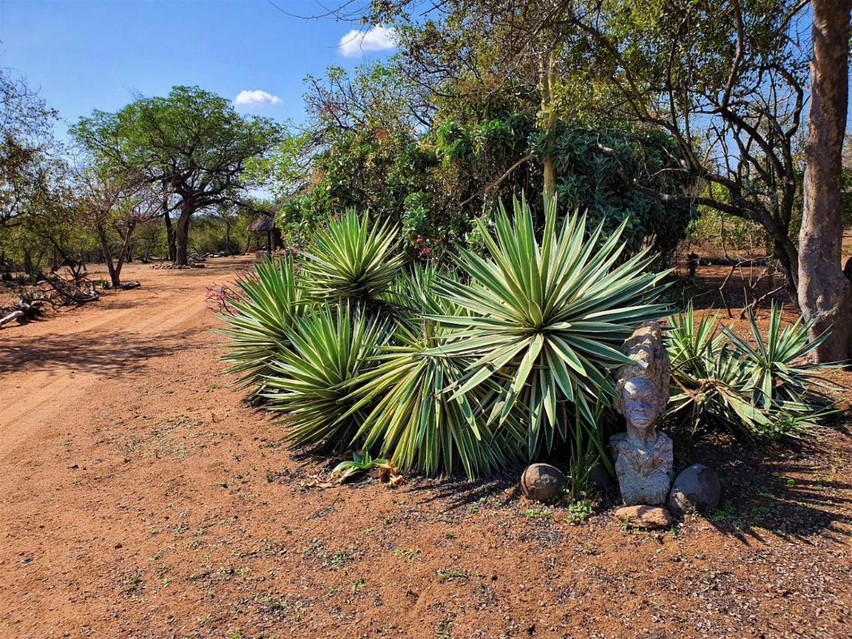 Masorini Bush Lodge & Safari Tents 帕拉博鲁瓦 外观 照片