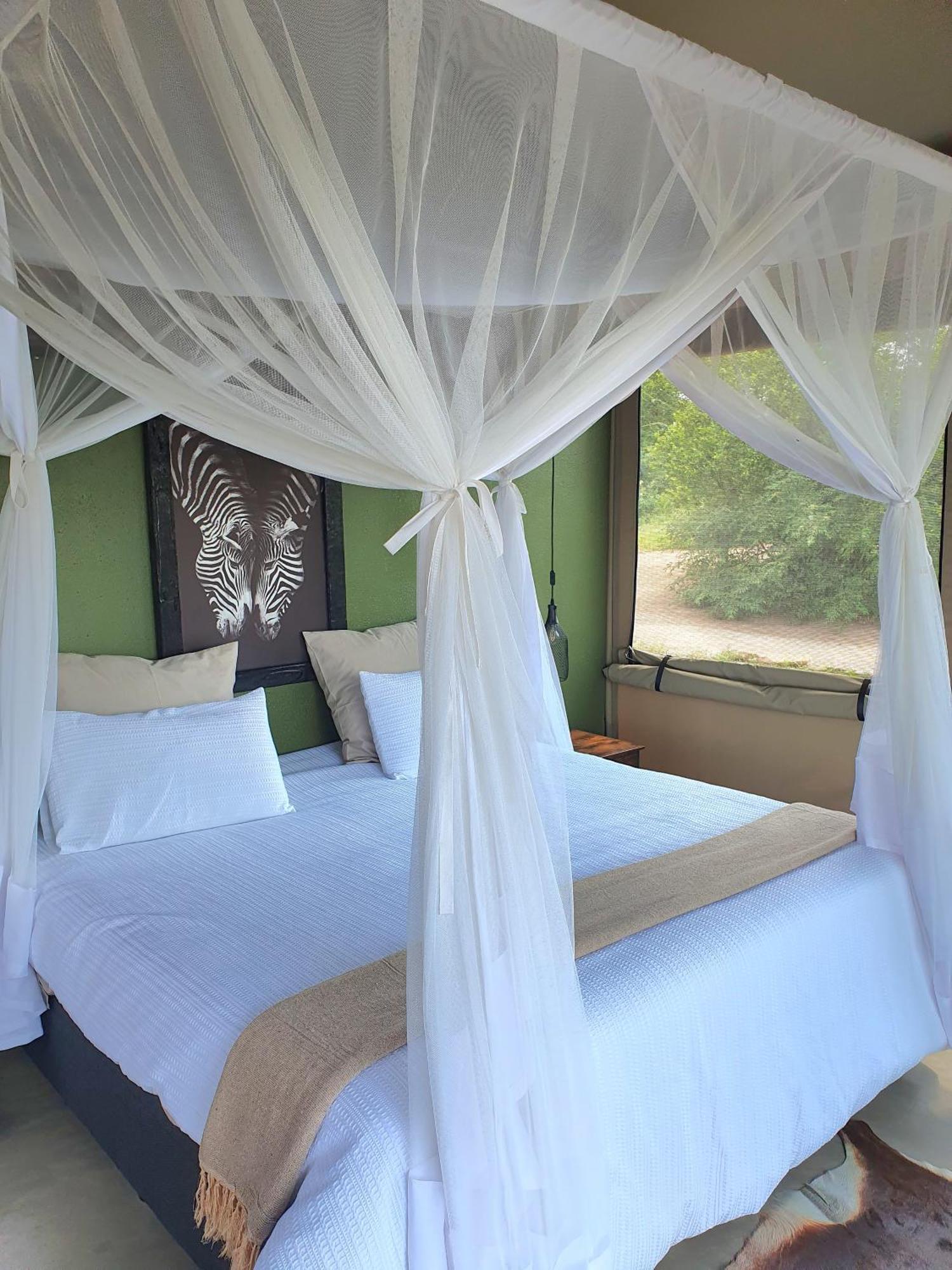 Masorini Bush Lodge & Safari Tents 帕拉博鲁瓦 外观 照片