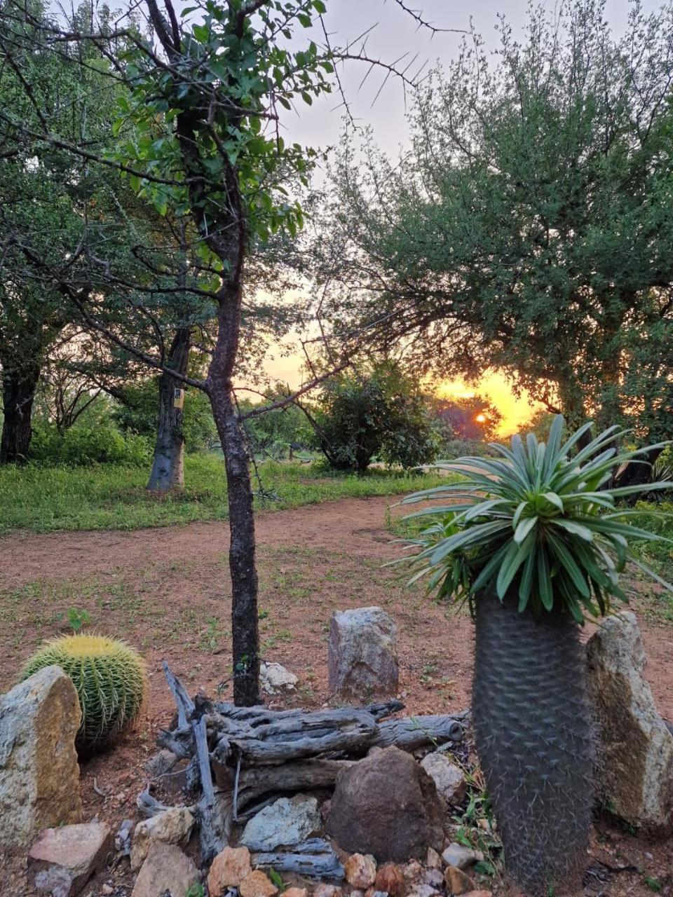 Masorini Bush Lodge & Safari Tents 帕拉博鲁瓦 外观 照片