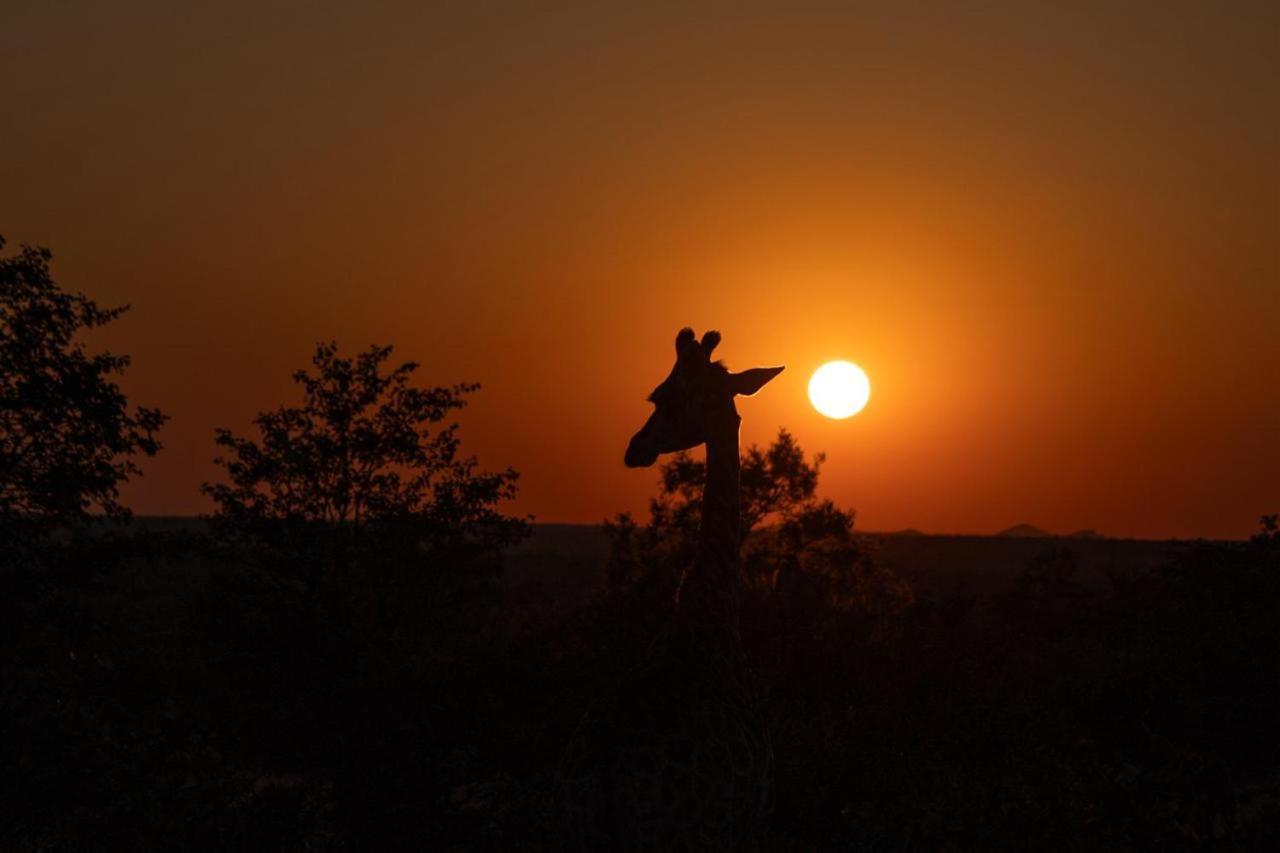 Masorini Bush Lodge & Safari Tents 帕拉博鲁瓦 外观 照片