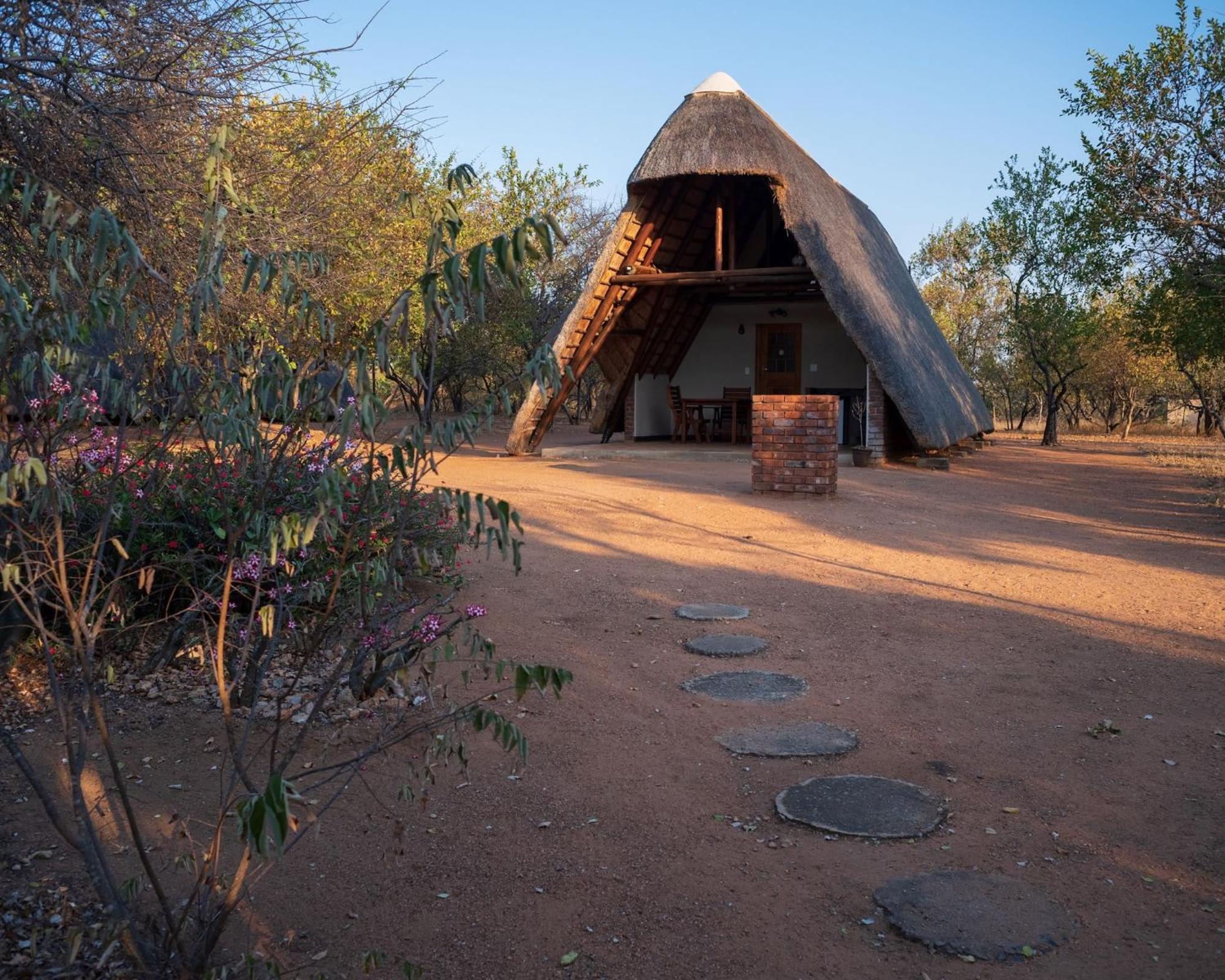 Masorini Bush Lodge & Safari Tents 帕拉博鲁瓦 外观 照片